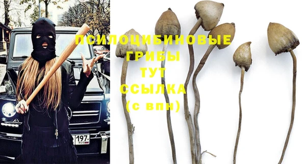 прущие крисы Абинск