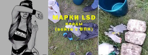 прущие крисы Абинск