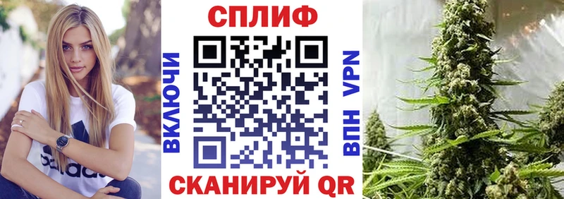 Конопля планчик где найти Сафоново